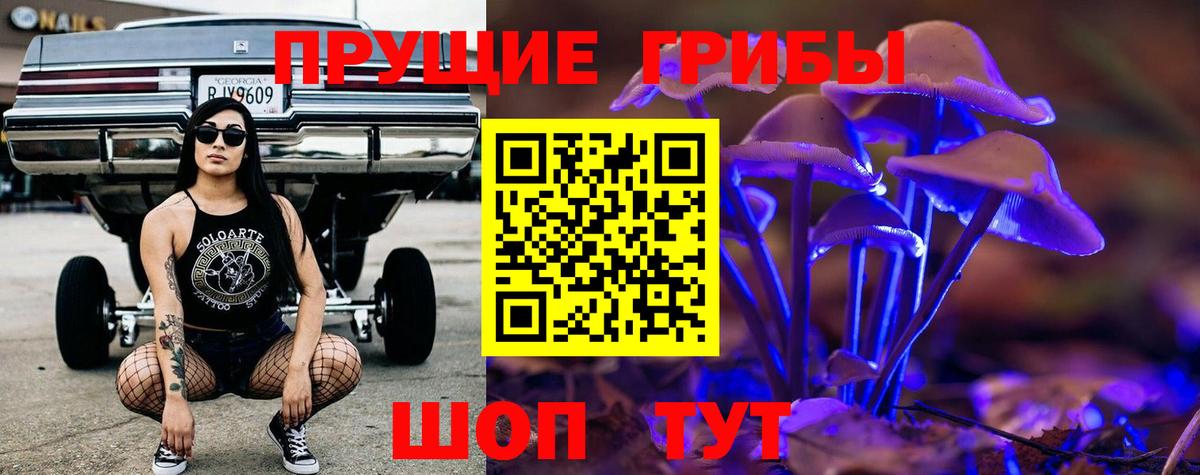 Псилоцибиновые грибы Cubensis  Псилоцибиновые грибы мицелий  Коломна  купить  цена  Вход с VPN 